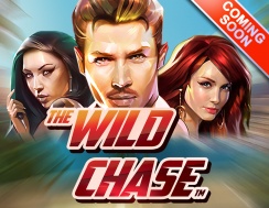 Casumo casino darmowe spiny na slot the wild chase 3