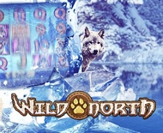 Mr Green: Doładowania na Wild North