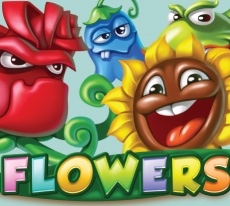 Mr Green: Turniej na slocie Flowers