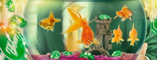 Mr green turniej slotowy na golden fish tank 1