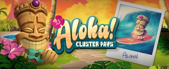 Royal panda free spiny na slot aloha cluster pays 1