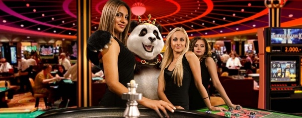 Royal panda gotowka royal panda live blackjack 2