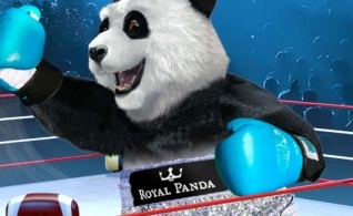 Royal Panda to czołówka każdego rankingu kasyn online