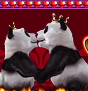 Royal panda turniej na burning desire