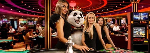 Royal panda wygrana w ruletce na zywo 1